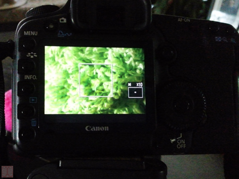 20090101-CAM00050-Edit