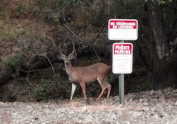 20140703-20140703_190901