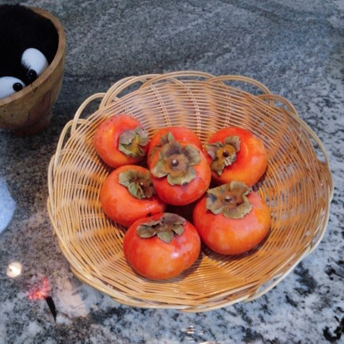 20141106-20141106_160323