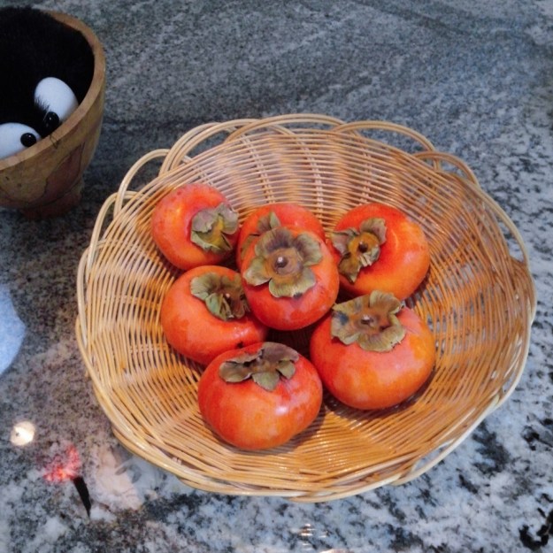 20141106-20141106_160323