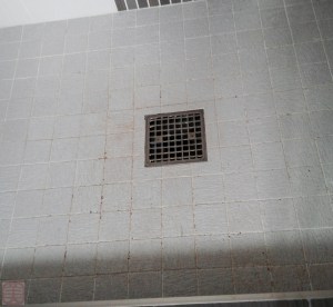 一生懸命きれいにした後。