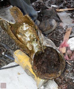 20141204-20141204_142147