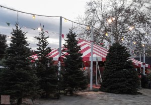 20141214-20141214_161505