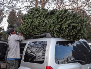 20141214-20141214_161513