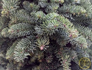 20141214-20141214_162104