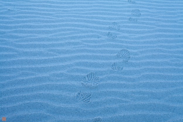 6964034976_f452387937_o-2