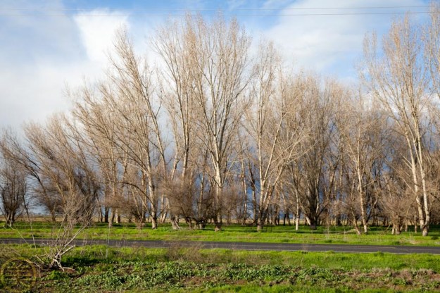 20160123-IMG_0208-Edit