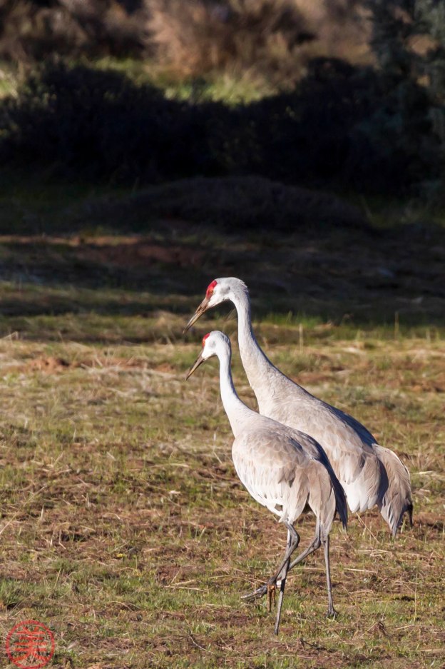 So, do you remember 10 rules you need to know when you fly?  