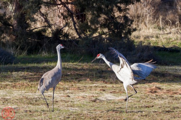 Like this? Well, good enough for now.