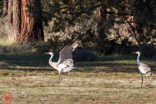 Feel the air under your wings.