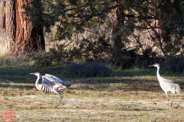 Now you are ready to kick the ground with your legs.