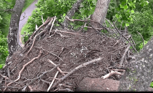 Screen Shot 2016-06-05 at 3.44.28 PM