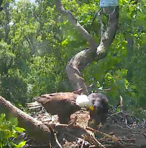 Screen Shot 2016-06-08 at 10.28.58 AM