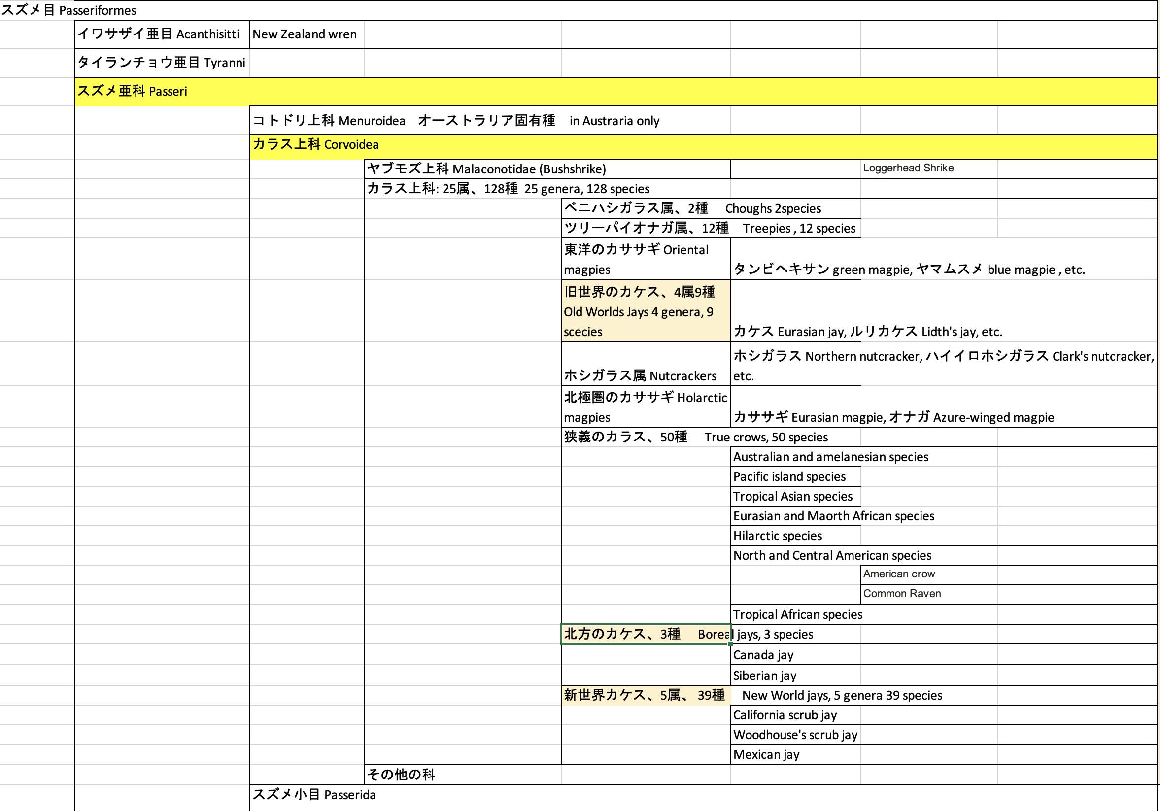 カケス様 130 ステラーカケス Steller's Jay – 「Wildlife Photo Journal」動物